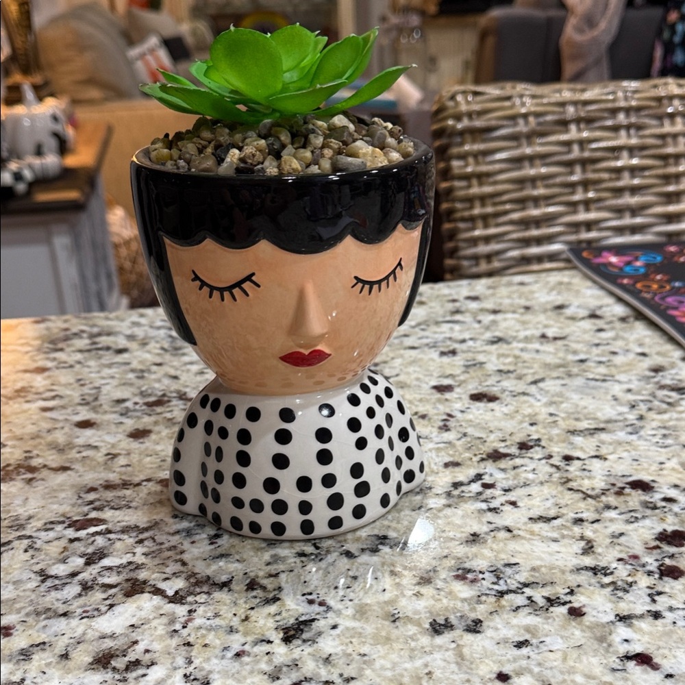 Face ceramic Planter with polka dot top and Artificial Succulent